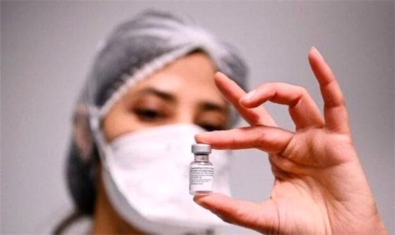 استرالیا درباره عوارض واکسن فایزر تحقیق می کند