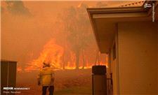 آتش سوزی جنگل در استرالیا
