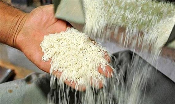 واردات برنج آزاد شد؛قیمت ارزان می‌شود؟