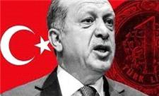 آرامبخش اردوغان برای لیر