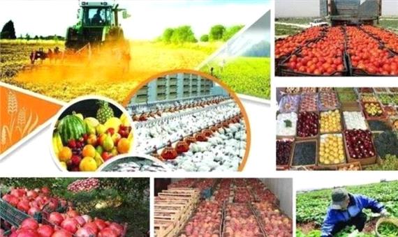 سه راهکار وزارت کشاورزی برای پیشگیری از دیپورت محصولات صادراتی