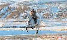 «اون» سوار بر اسب سفید آمد!