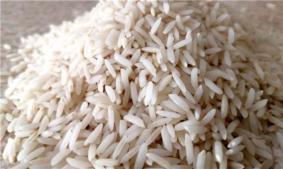 واردات برنج کاهش می یابد؟