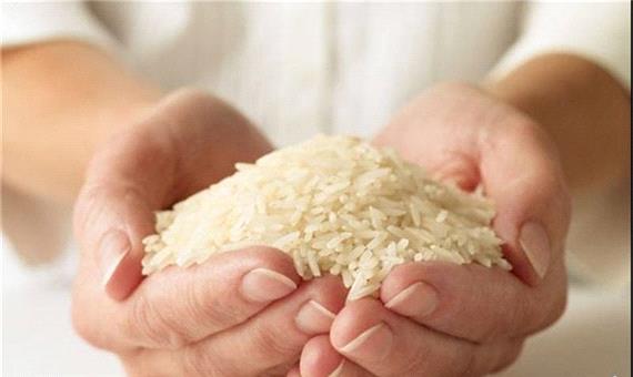 حباب برنج ایرانی ترکید؛ کاهش 15 تا 25 هزار تومانی قیمت برنج