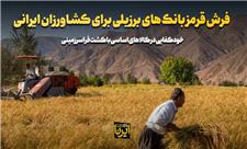 فرش قرمز بانک‌های برزیلی برای کشاورزان ایرانی