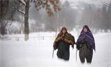 راهکار مسئولین اوکراینی برای عبور از «زمستان سخت»؛ مردم از کشور خارج شوند