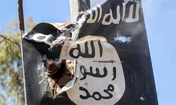 ادعای آمریکا درباره کشته شدن حدود 700 داعشی در سال 2022