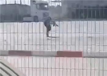 تحویل پیکر عامل عملیات ضد صهیونیستی گذرگاه کرامه به اردن