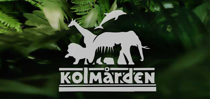 ایرانیان جهان