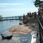 ایرانیان جهان