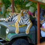 ایرانیان جهان