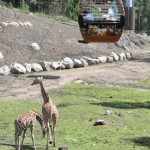 ایرانیان جهان