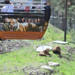 ایرانیان جهان