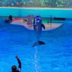 ایرانیان جهان