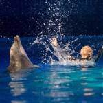 ایرانیان جهان