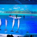 ایرانیان جهان