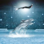 ایرانیان جهان