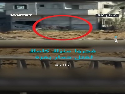 صهیونیست‌ها حتی به حیوانات در غزه هم رحم نمی‌کنند