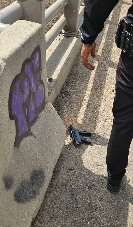 ایرانیان جهان