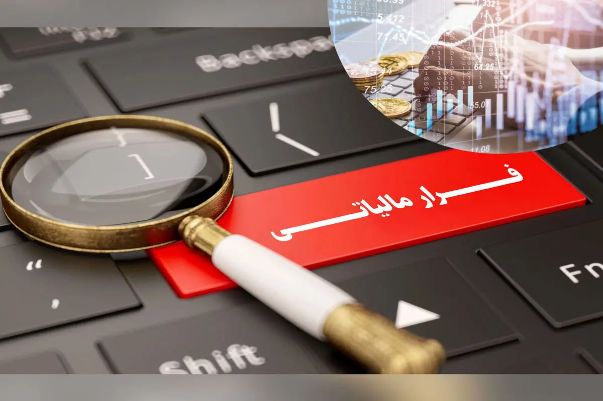 سازمان مالیاتی: سوت‌زن‌ها ۷۳۰ میلیون تومان پاداش گرفتند