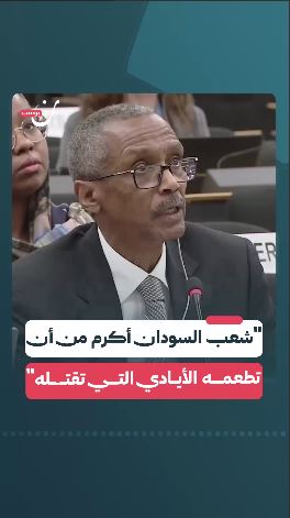 نطق آتشین نماینده سودان علیه امارات: نیازی به صدقه‌های شما نداریم!