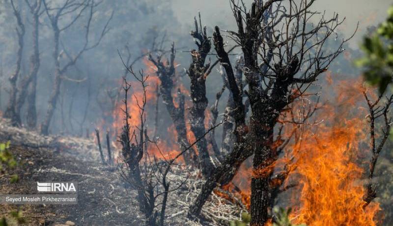 برای نجات هیرکانی از جهان کمک بخواهید!