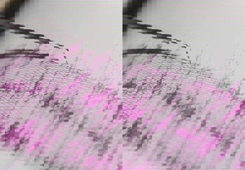 زلزله ۶ ریشتری تایوان را لرزاند