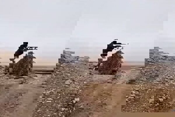 ادامه درگیری نیروهای جولانی و قسد؛ چند پهپاد کردهای سوری سرنگون شد