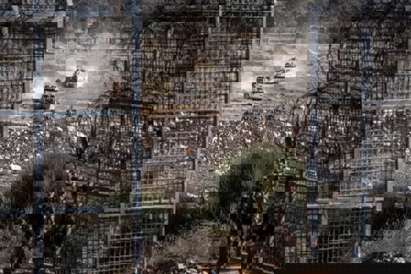 بازداشت ۵ جوان سوری در یورش نیروهای اسرائیلی به قنیطره