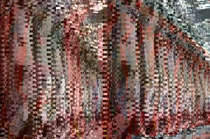 ارزانی گوشت در راه است؟