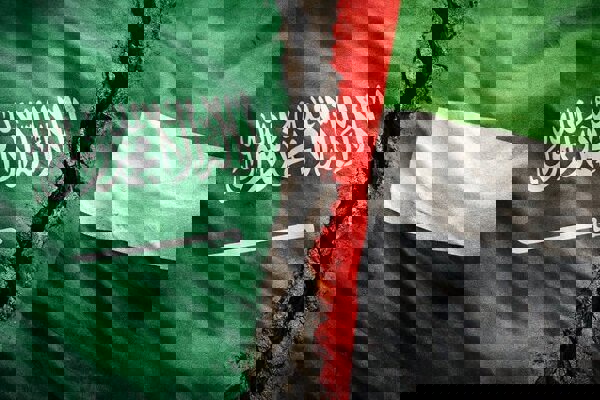 دستور ابوظبی به شخصیت‌های اماراتی درباره عربستان