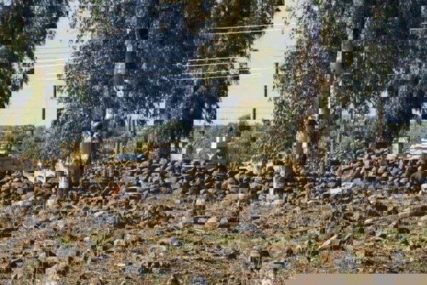 جدیدترین تحرکات نظامیان رژیم صهیونیستی در جنوب سوریه