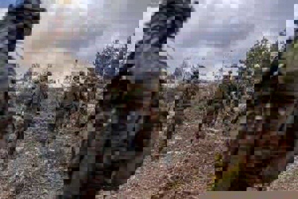 تحرکات جدید نظامیان اسرائیلی در جنوب سوریه