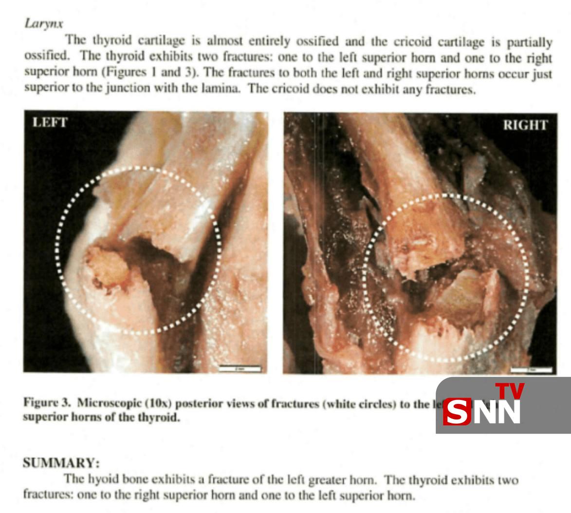 ایرانیان جهان