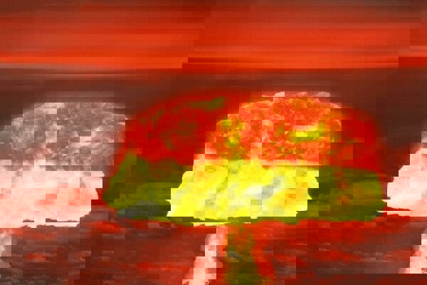 هشدار قرمز؛ جنگ جهانی سوم با سلاح اتمی در راه است