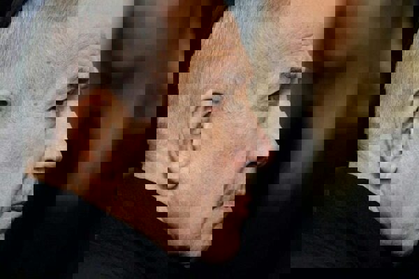 وحشت در تل آویو پس از دریافت بسته مشکوک در دفتر نتانیاهو