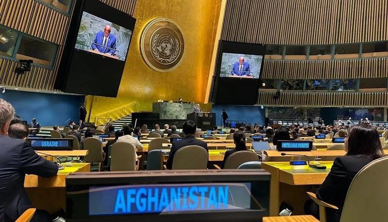 افغانستان برای سومین سال متوالی از حق رأی در سازمان ملل محروم شد