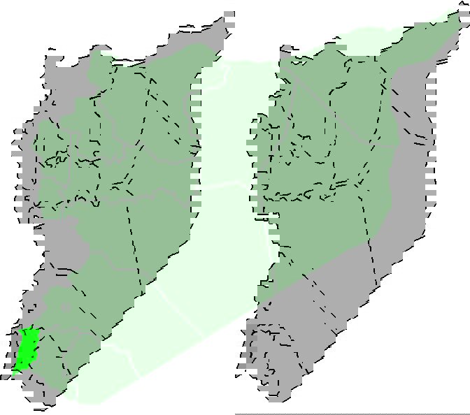 بازداشت یک سوری به دست نظامیان اسرائیلی در جنوب سوریه