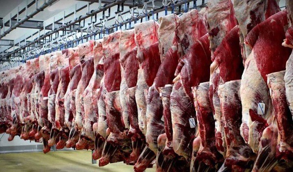 احتمال کاهش قیمت گوشت با افزایش واردات
