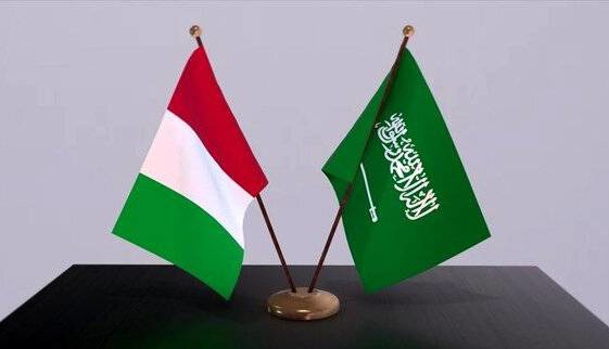 عربستان برای مقابله با یمنی‌ها به ایتالیا متوسل شد